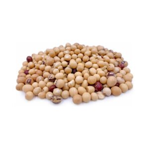 Royalty Bambara Beans 2kg
