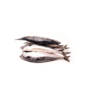 Whole Titus (Mackerel) -1 bag