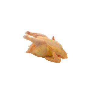 Whole Hard Chicken (local fowl) - Box of 9